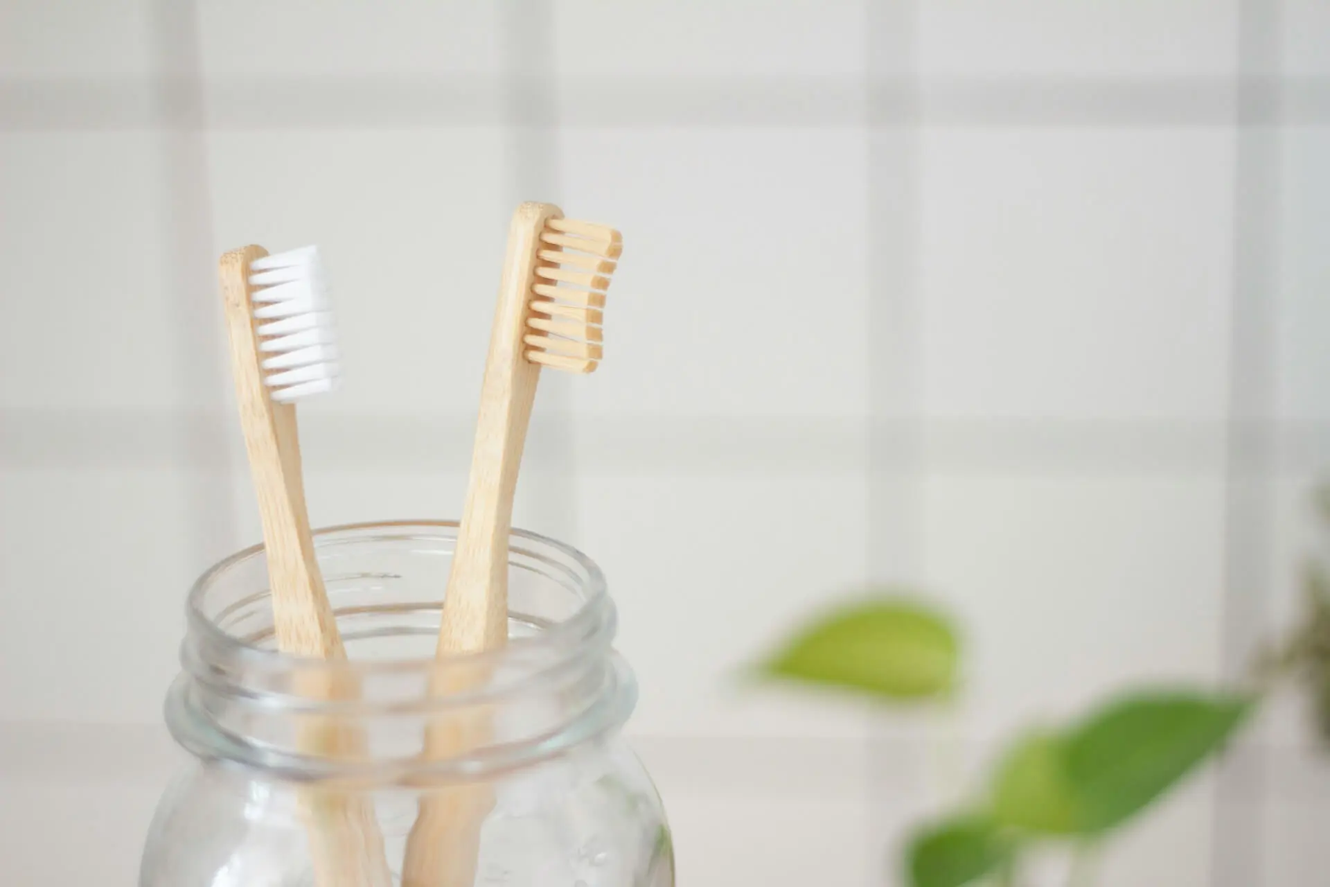 Eco-friendly bamboo toothbrushes for a zero-waste bathroom